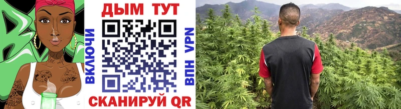 Названия наркотиков Кинешма КОКАИН  Амфетамин  A PVP  Псилоцибиновые грибы  Меф мяу мяу  Гашиш 