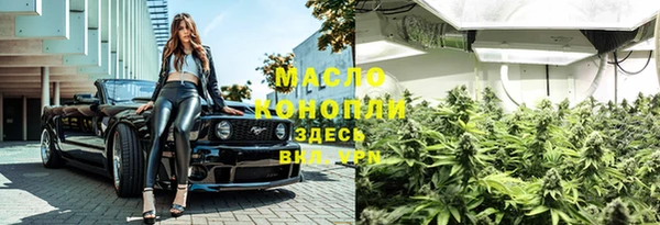 твердый Тайга