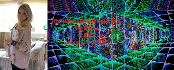 MDMA Сясьстрой