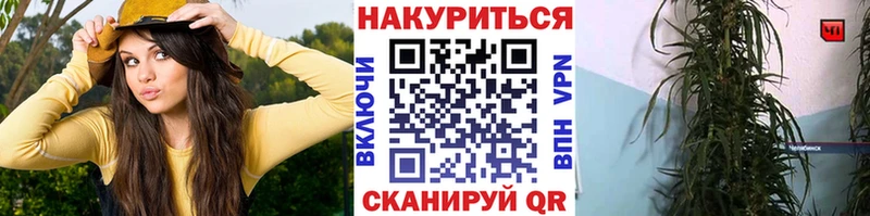 Шишки марихуана AK-47  omg ссылка  Кинешма 